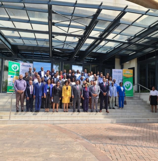 REUNIÃO ANUAL DE BALANÇO DO PROGRAMA NACIONAL DE FORTIFICAÇÃO DE ALIMENTOS 2024
